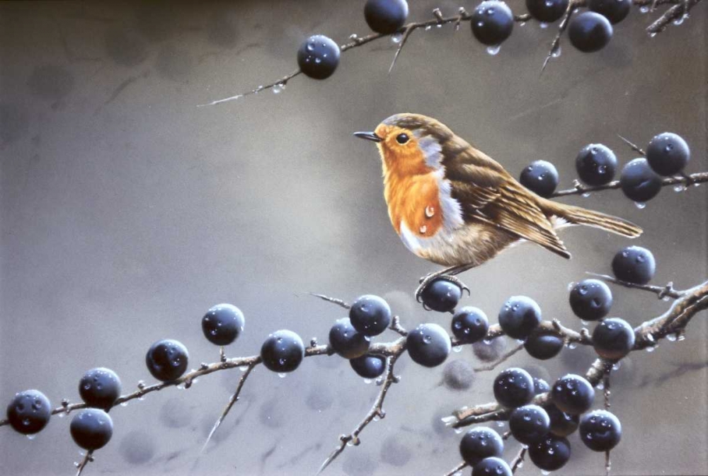 Bird sitting on vinetree art print by Jan Weenink for $57.95 CAD