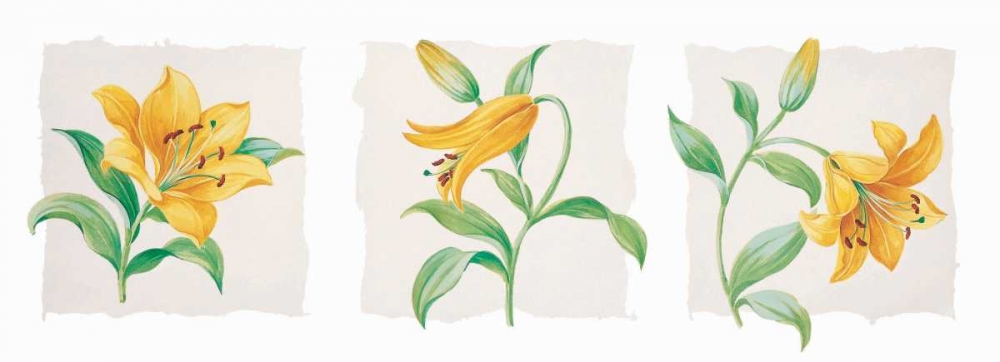 Yellow lily triptych art print by Krysztov Kumorek for $57.95 CAD