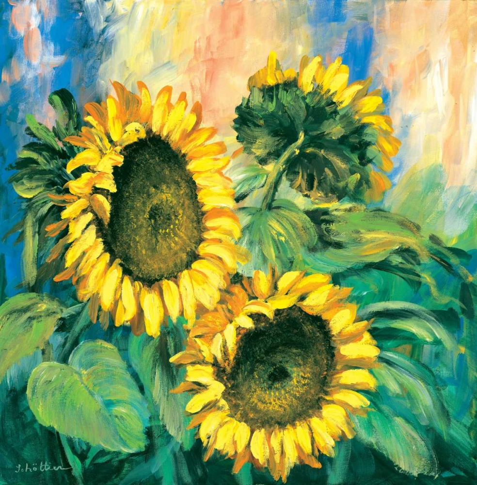 Sunflowers art print by Katharina Schottler for $57.95 CAD