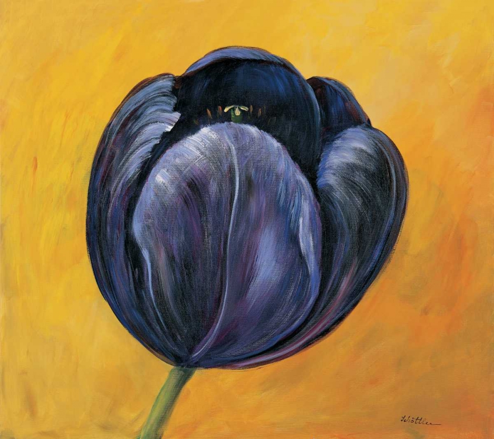 Purple tulip I art print by Katharina Schottler for $57.95 CAD