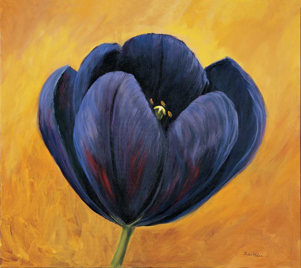Purple tulip II art print by Katharina Schottler for $57.95 CAD