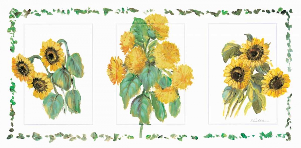 Flower trio II art print by Katharina Schottler for $57.95 CAD