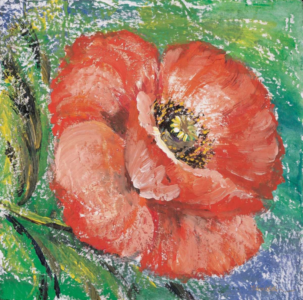 Poppy art print by Katharina Schottler for $57.95 CAD
