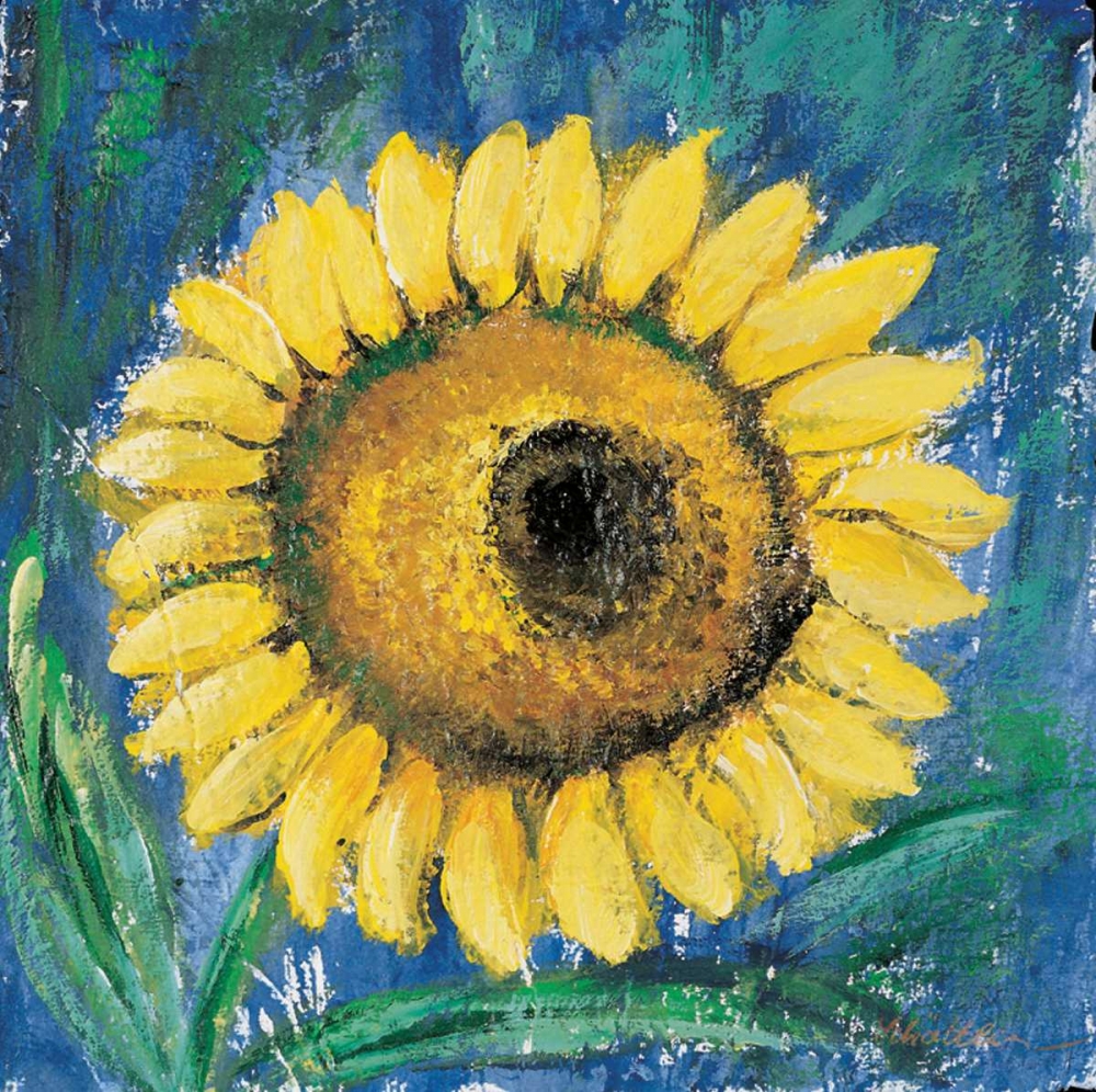 Sunflower art print by Katharina Schottler for $57.95 CAD