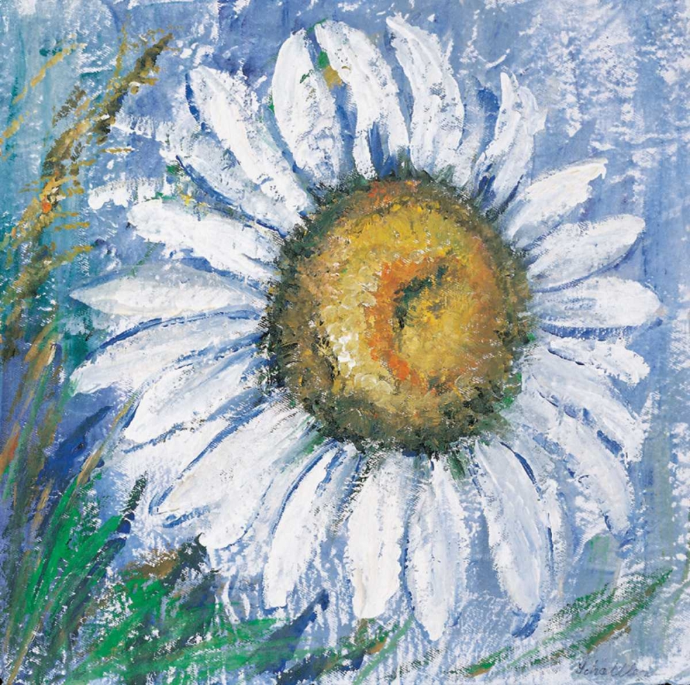Oxeye daisy art print by Katharina Schottler for $57.95 CAD