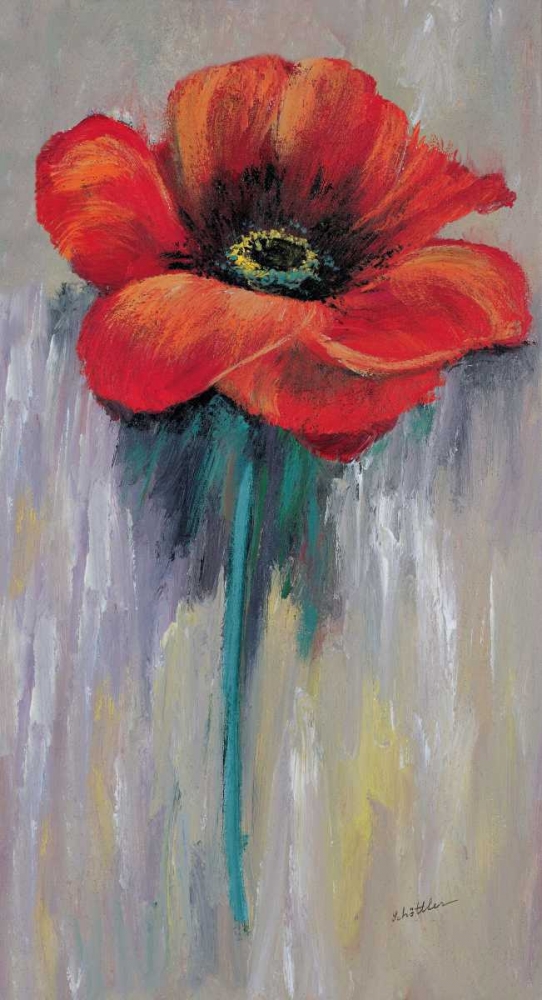 Red poppy II art print by Katharina Schottler for $57.95 CAD