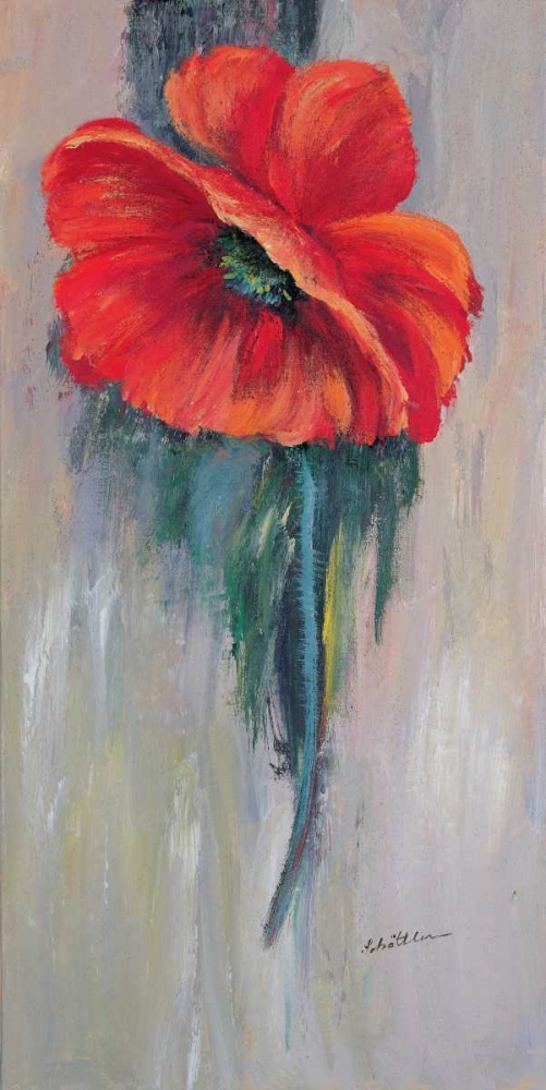 Red poppy III art print by Katharina Schottler for $57.95 CAD
