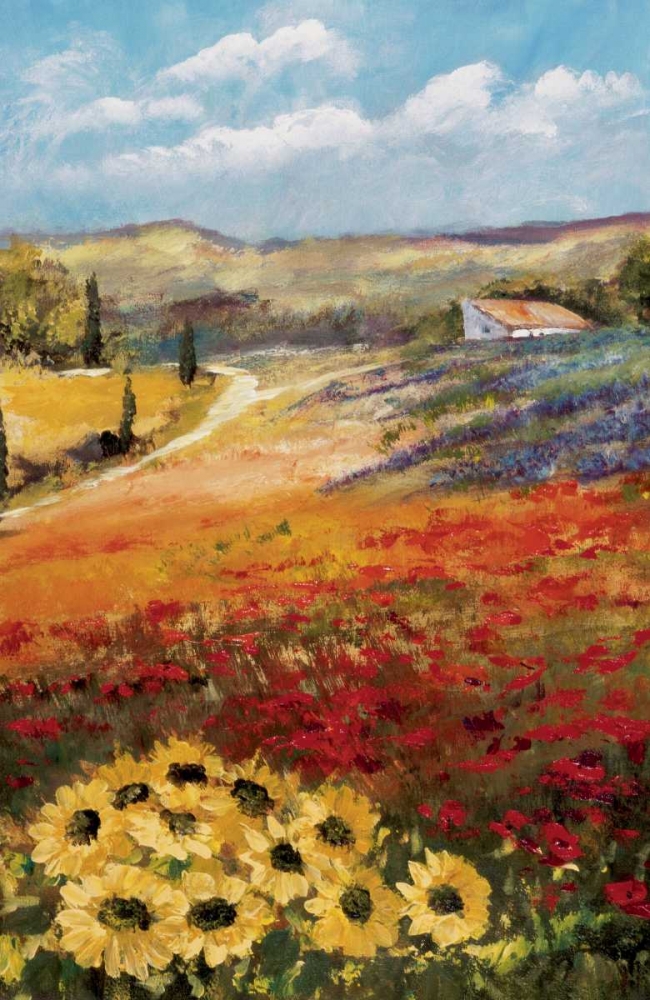 Italy sunflower II art print by Katharina Schottler for $57.95 CAD