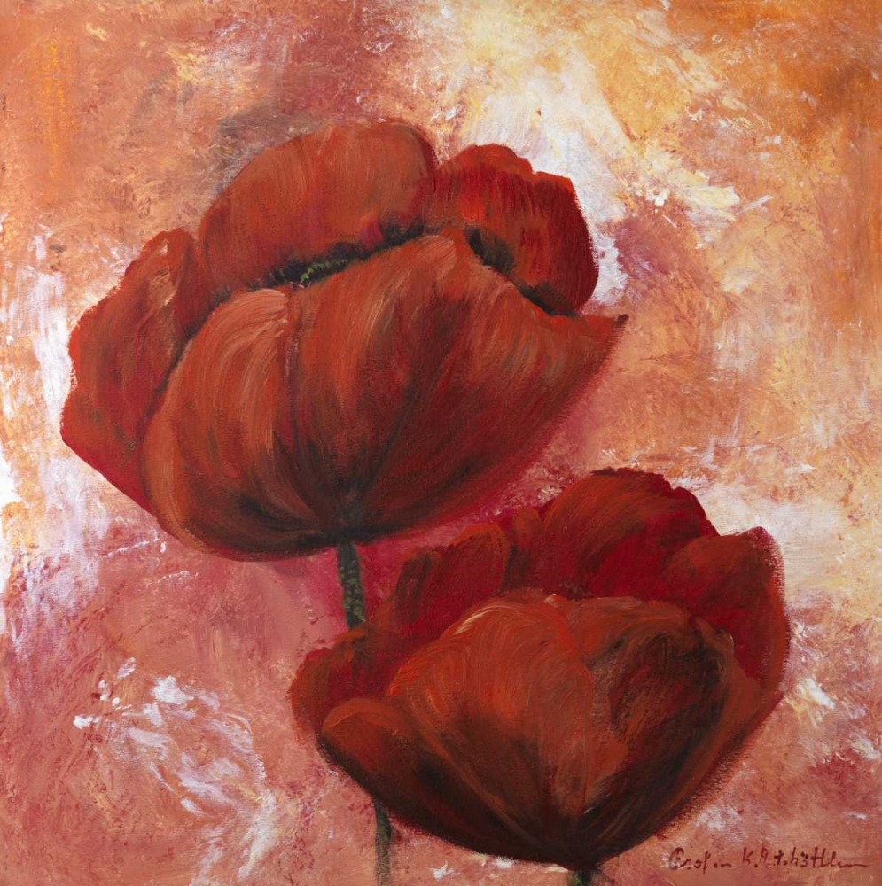 Poppy Red art print by Katharina Schottler for $57.95 CAD