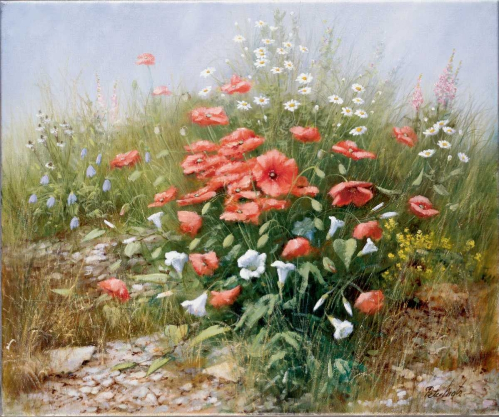 Poppies and friends art print by Peter Motz for $57.95 CAD