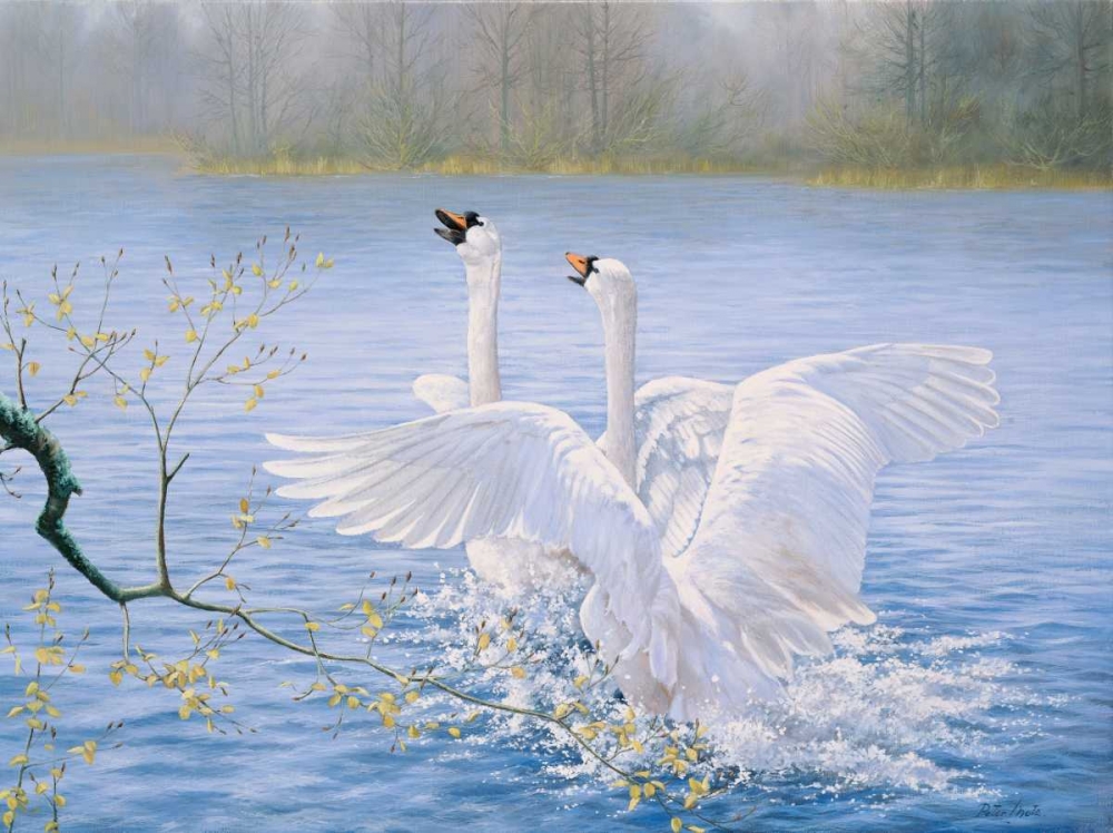Catch me art print by Peter Motz for $57.95 CAD