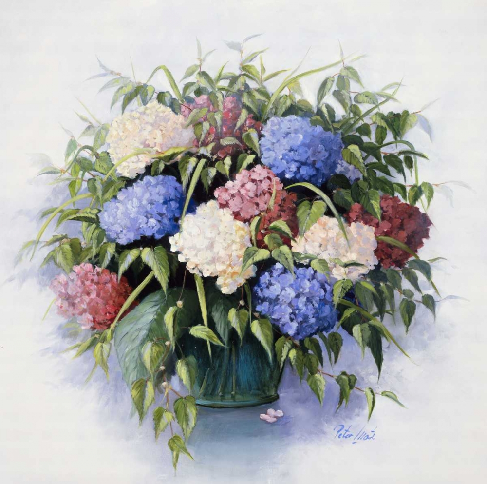 Mixed Hydrangia art print by Peter Motz for $57.95 CAD