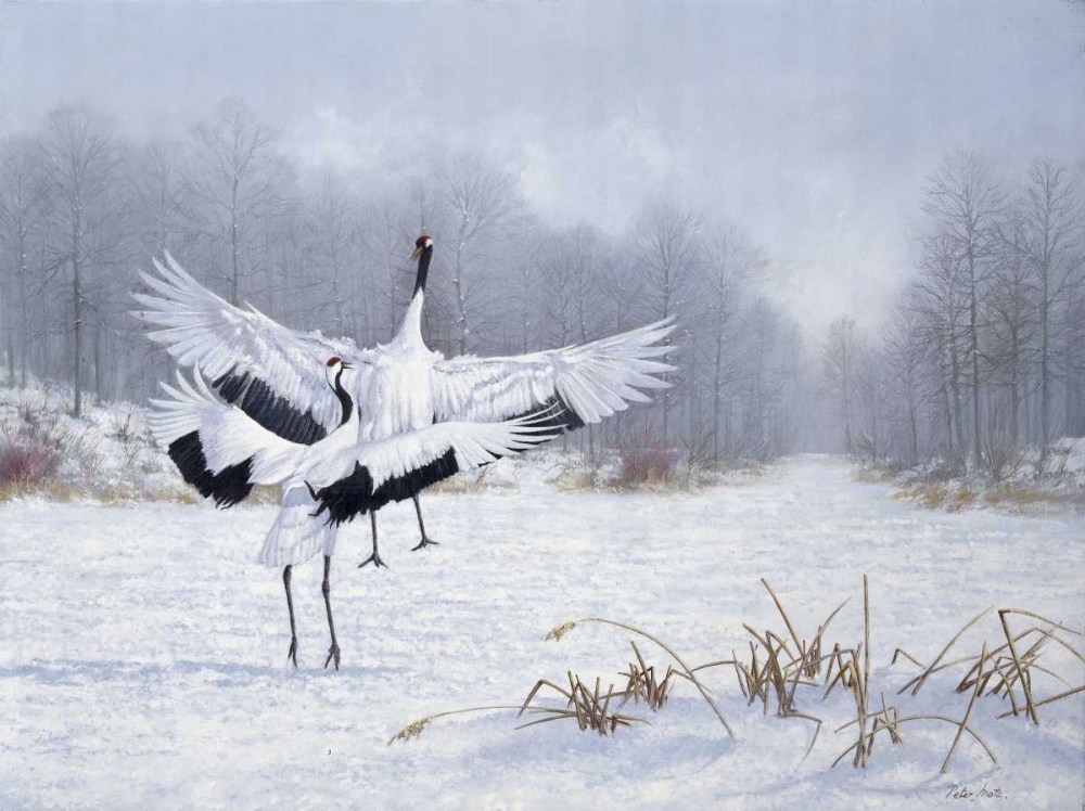 We are the ones art print by Peter Motz for $57.95 CAD
