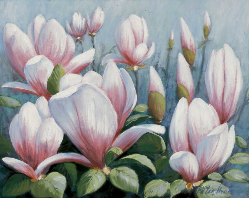 Beauty of silence art print by Peter Motz for $57.95 CAD