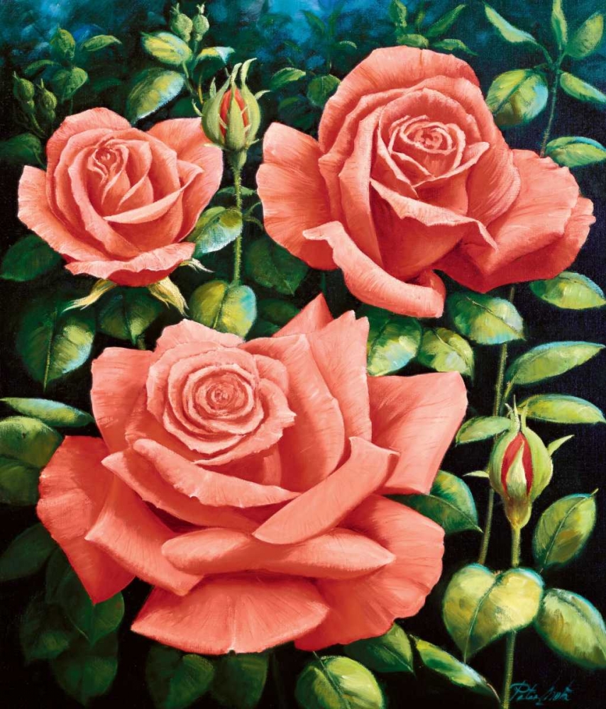 Roses art print by Peter Motz for $57.95 CAD