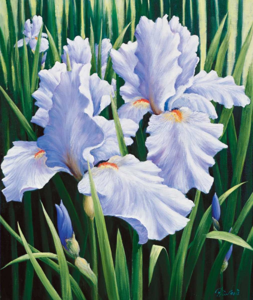 Purple art print by Peter Motz for $57.95 CAD