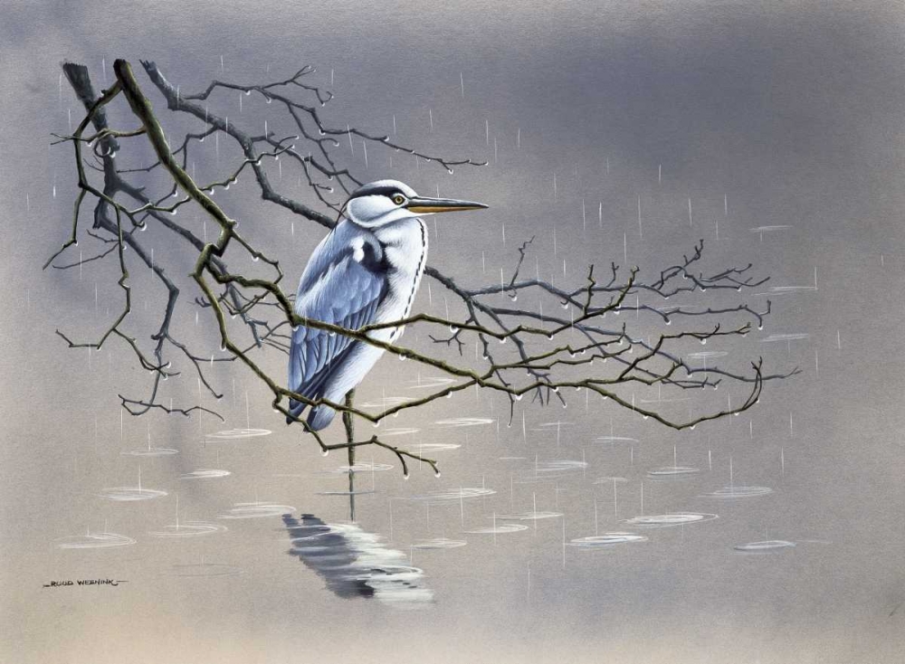 Birdy I art print by Ruud Weenink for $57.95 CAD