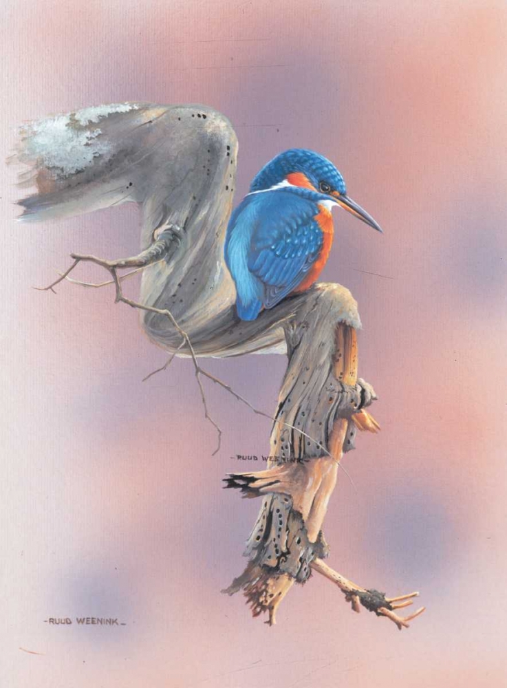 Birdy III art print by Ruud Weenink for $57.95 CAD