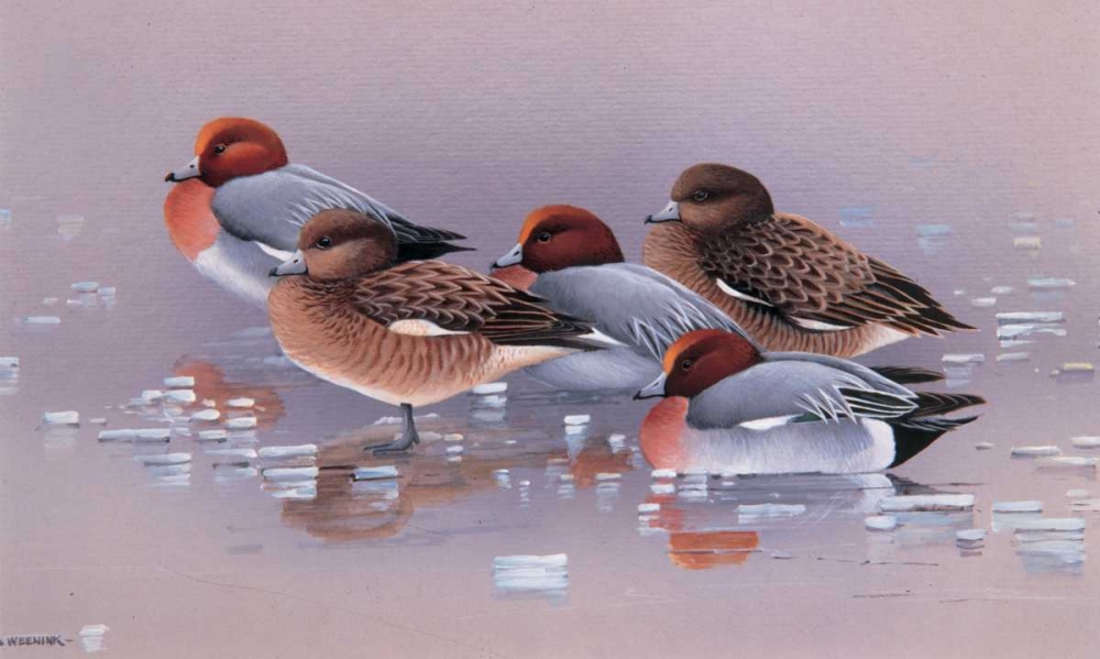 Chilly together art print by Ruud Weenink for $57.95 CAD