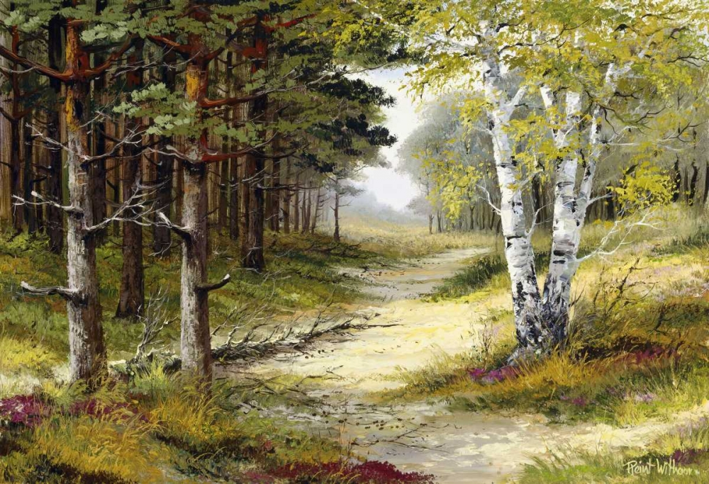Nature walk art print by Reint Withaar for $57.95 CAD