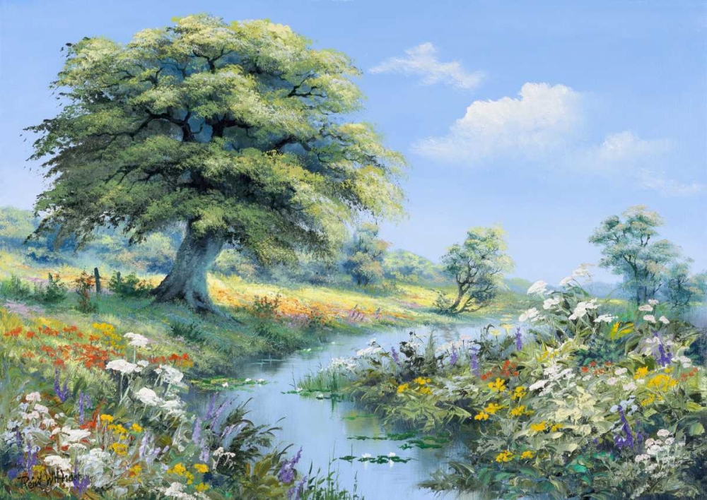 Reints Nature art print by Reint Withaar for $57.95 CAD