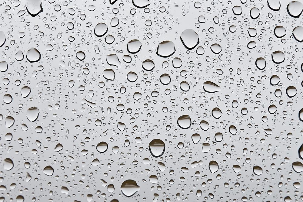 Water droplets on glass art print by Assaf Frank for $57.95 CAD