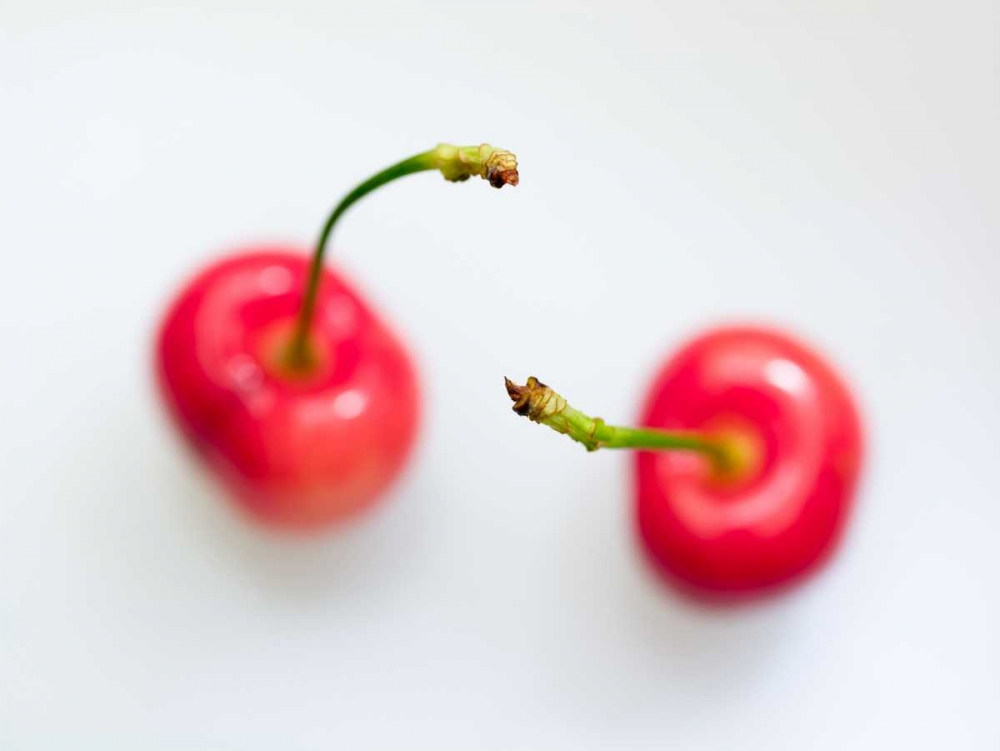 Close-up of cherries art print by Assaf Frank for $57.95 CAD