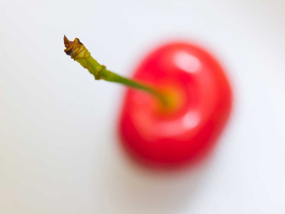 Close-up of cherry, studio shot art print by Assaf Frank for $57.95 CAD
