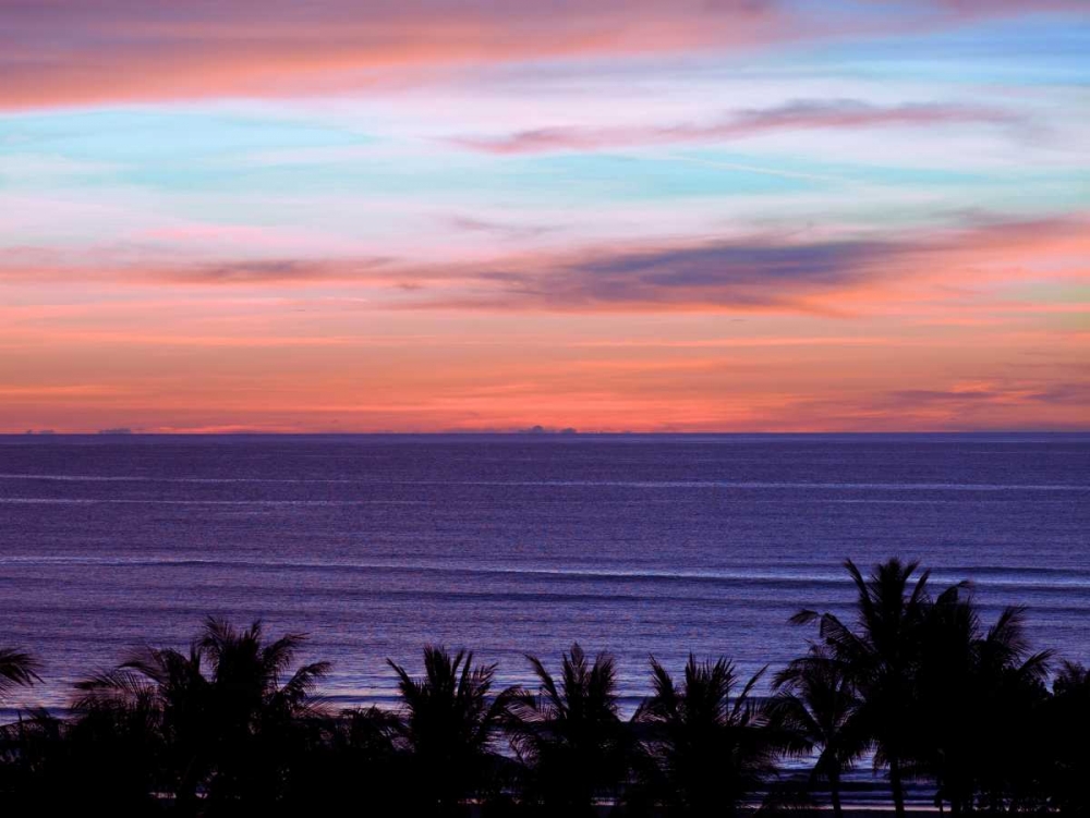 Sea by palm tree at dusk, elevated view art print by Assaf Frank for $57.95 CAD