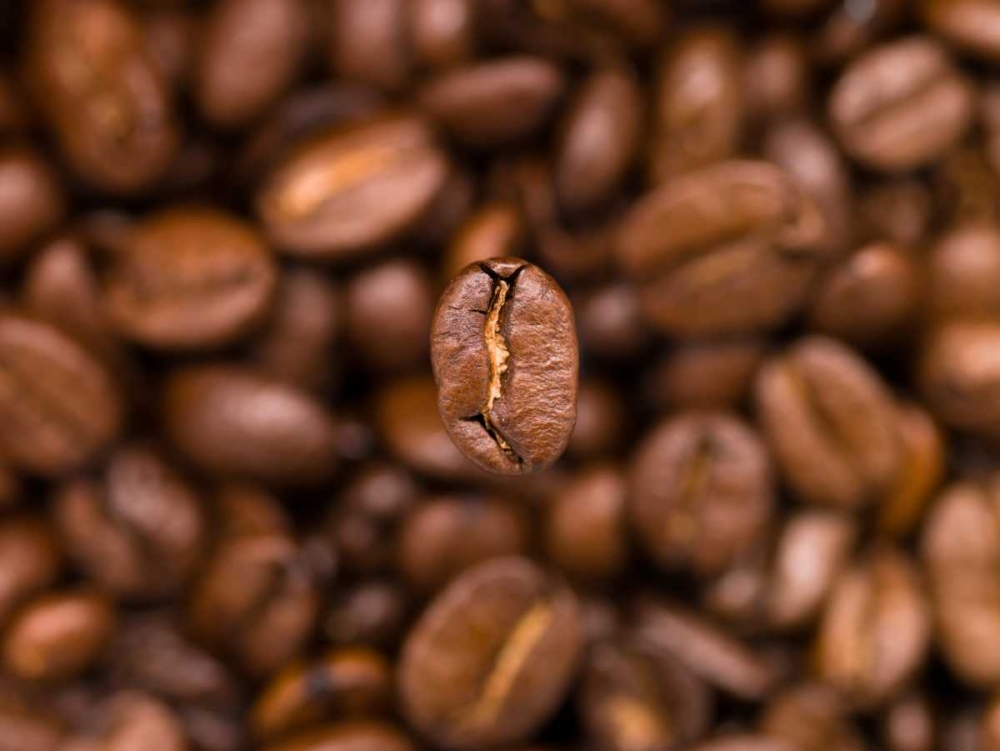Top view of coffee beans art print by Assaf Frank for $57.95 CAD