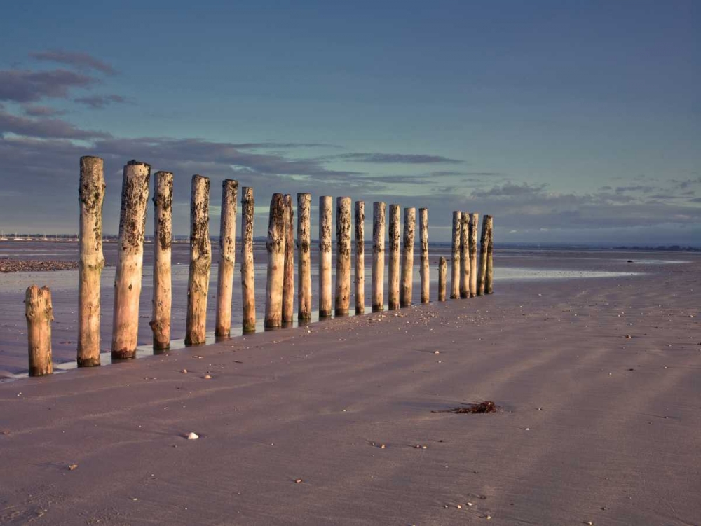 Groynes at ast head beach, West Susex coast art print by Assaf Frank for $57.95 CAD