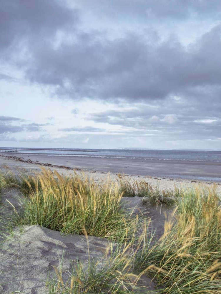 Sand dunes and grass, West wittering beach, UK art print by Assaf Frank for $57.95 CAD