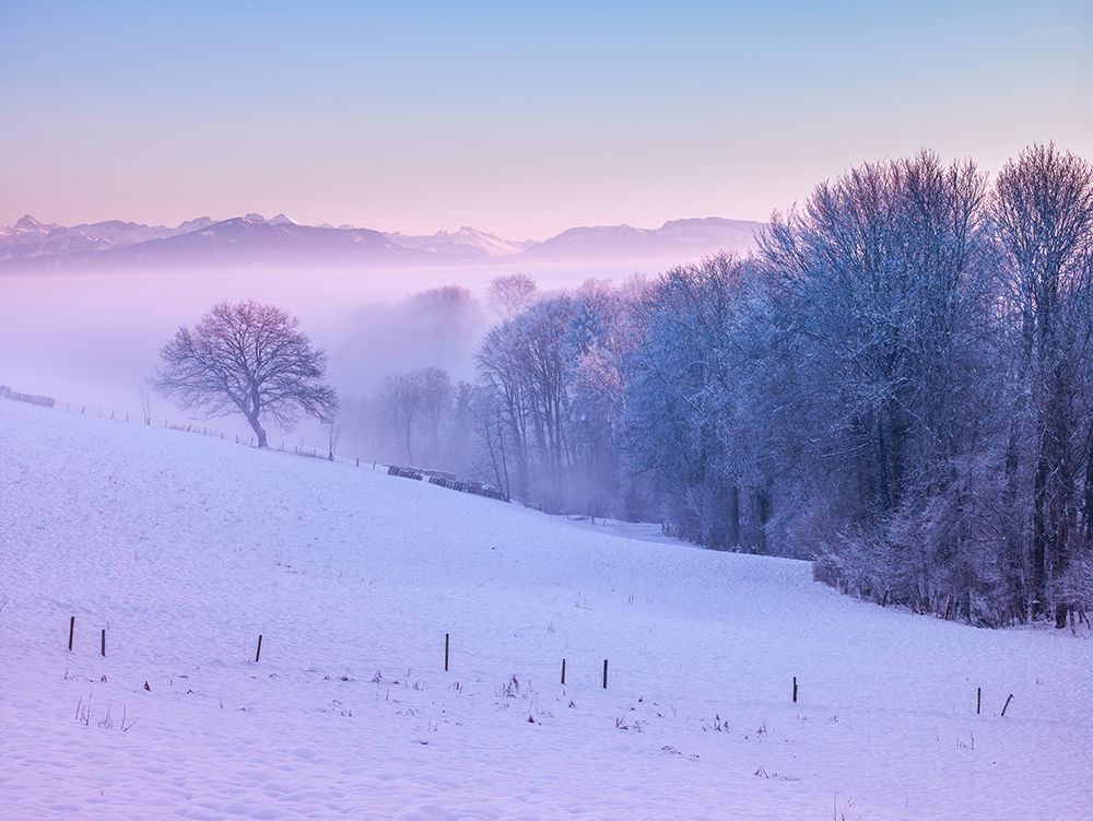 Winter landsacpe in Switzerland art print by Assaf Frank for $57.95 CAD
