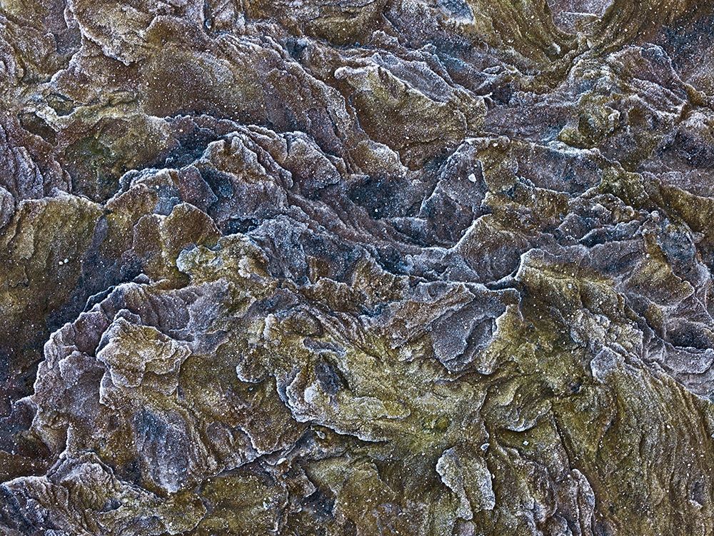 Frosty rock surface art print by Assaf Frank for $57.95 CAD