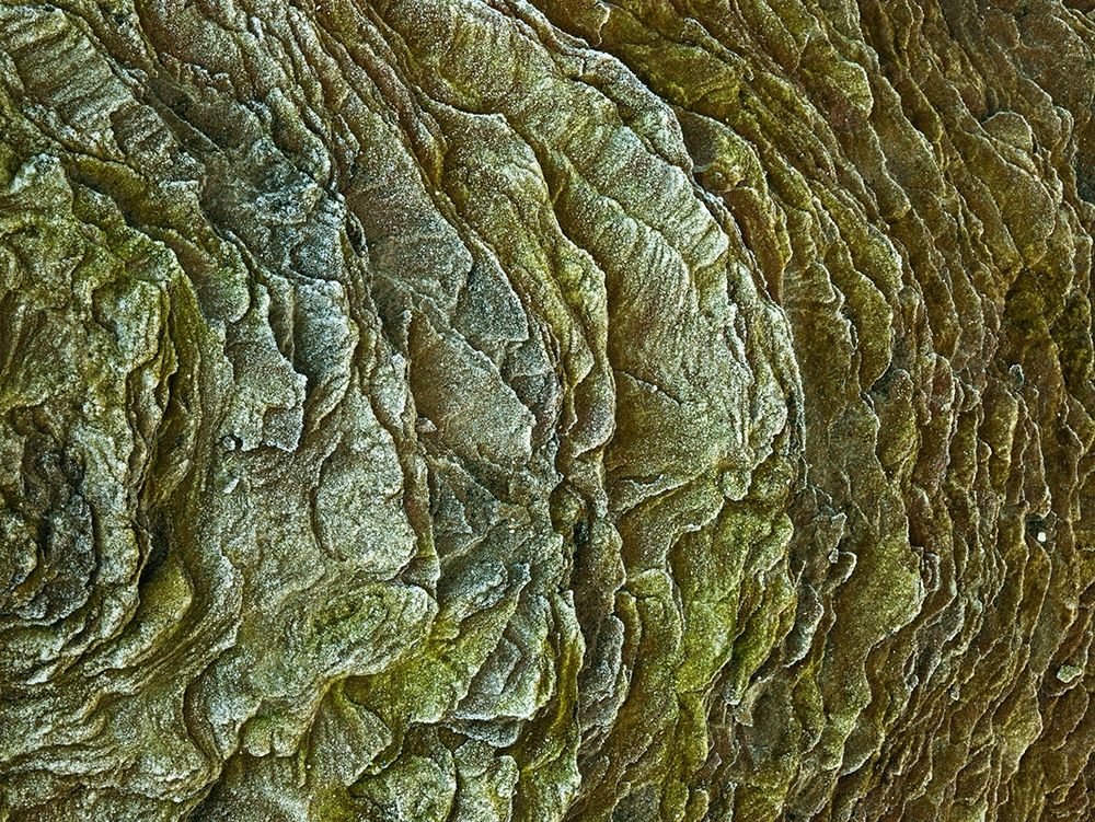Frosty rock surface art print by Assaf Frank for $57.95 CAD