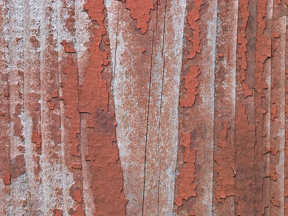 Paint on old door surface art print by Assaf Frank for $57.95 CAD