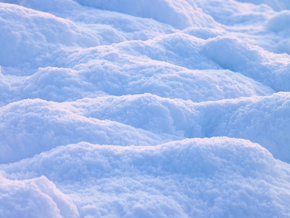 Snow art print by Assaf Frank for $57.95 CAD