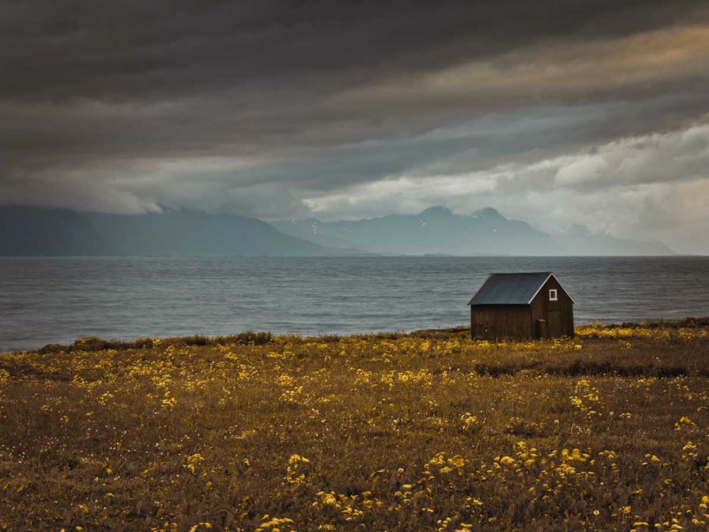 Beach hut on Lofoten coastline, Norway art print by Assaf Frank for $57.95 CAD