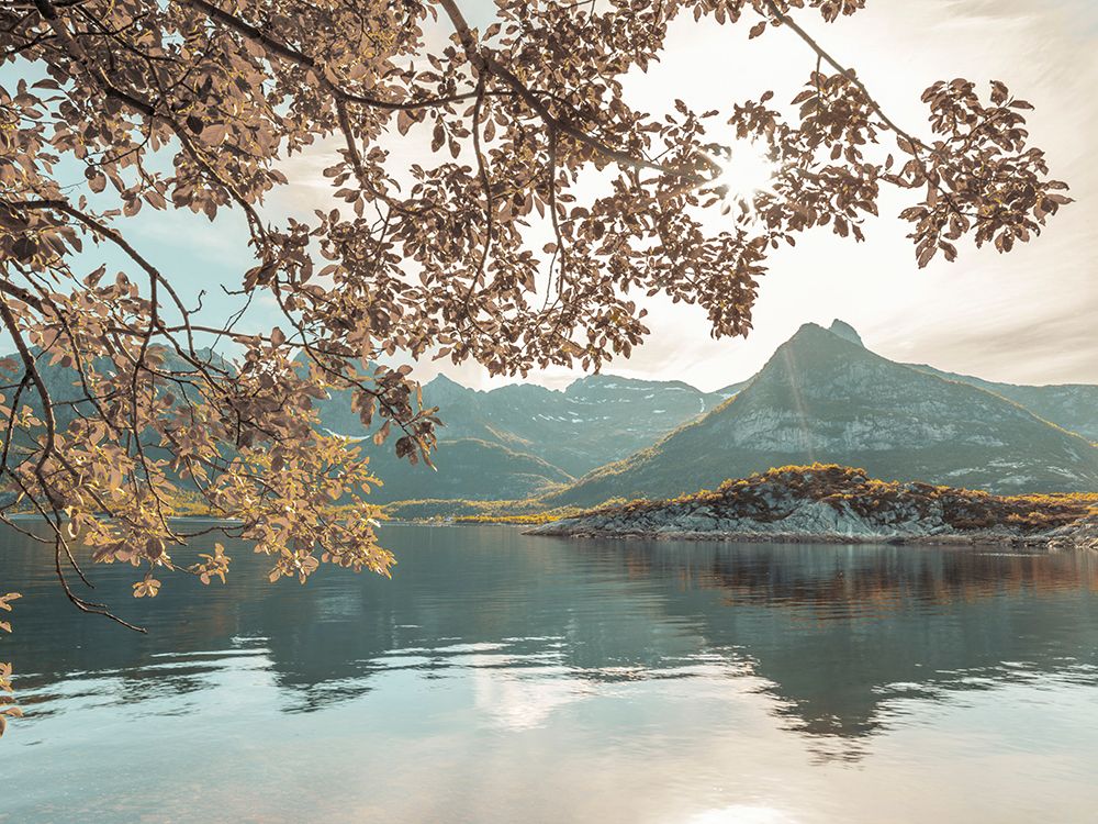 Norwegian fjord, Lofoten, Norway art print by Assaf Frank for $57.95 CAD