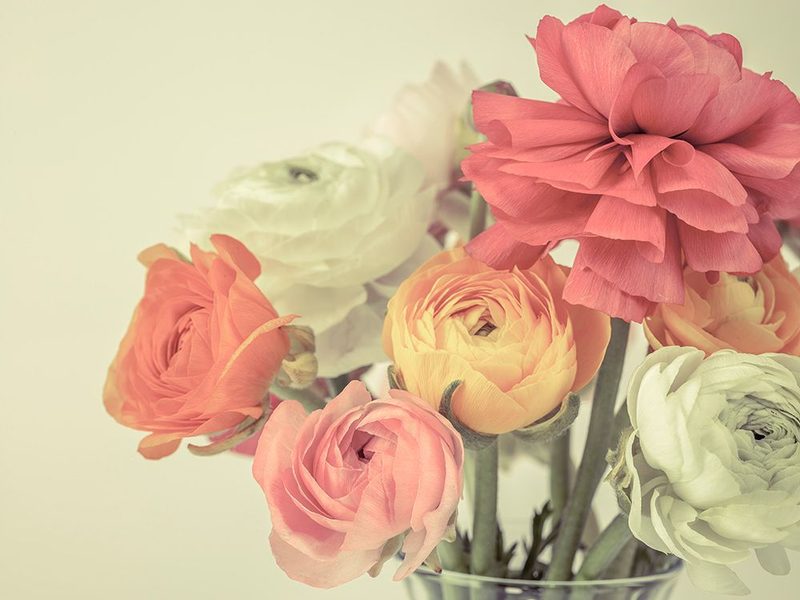 Bunch of flowers in vase art print by Assaf Frank for $57.95 CAD