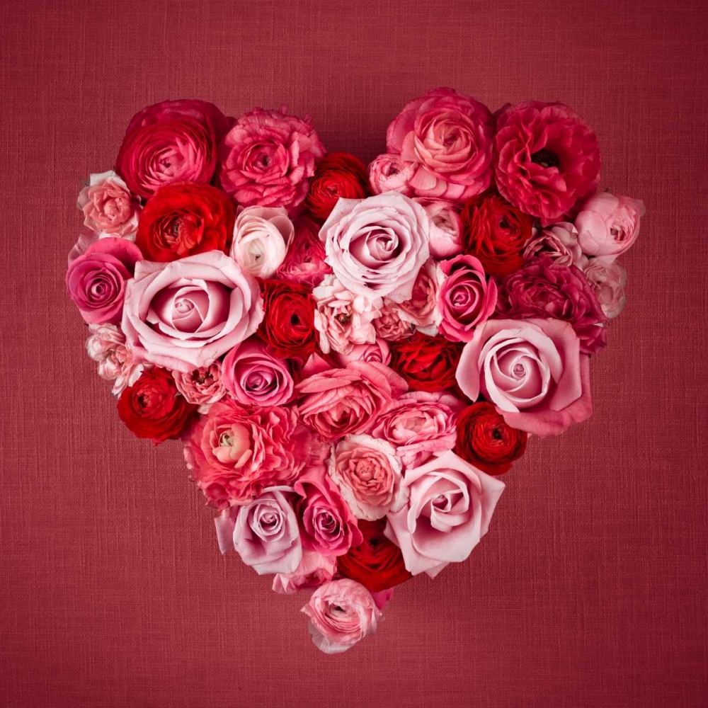Rose Heart art print by Assaf Frank for $57.95 CAD