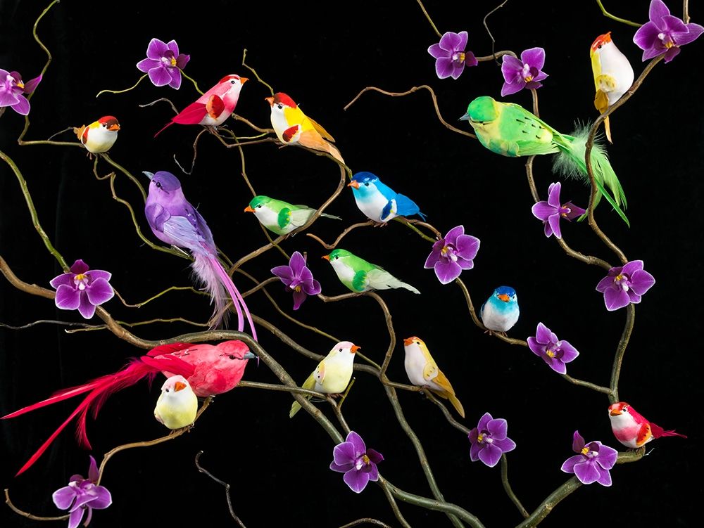 Fake birds on branches art print by Assaf Frank for $57.95 CAD