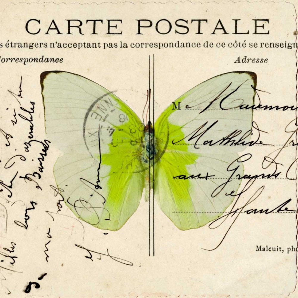 Colorful Butterfly with Vintage effects art print by Assaf Frank for $57.95 CAD