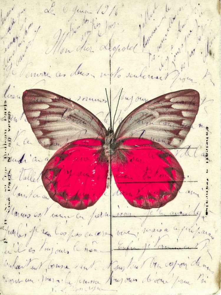 Handwritten old postcard with butterfly art print by Assaf Frank for $57.95 CAD