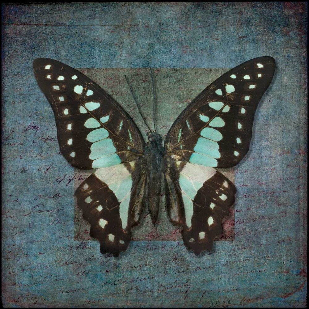 Colorful tropical Butterfly with vintage effects art print by Assaf Frank for $57.95 CAD