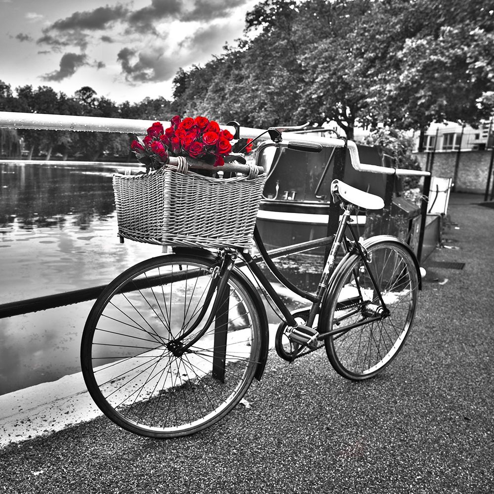 Bicycles with flowers art print by Assaf Frank for $57.95 CAD