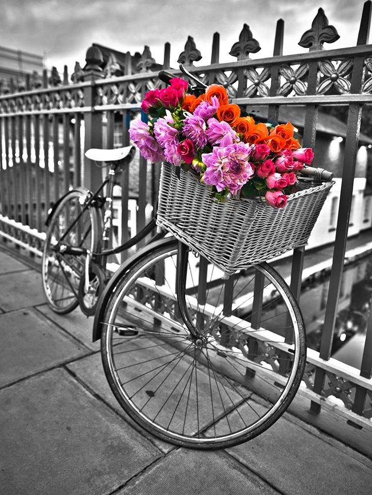 Bicycles with flowers art print by Assaf Frank for $57.95 CAD