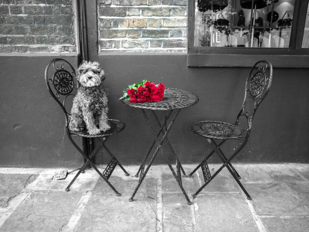 Dog Sitting on a chair with a banch of roses on a table art print by Assaf Frank for $57.95 CAD