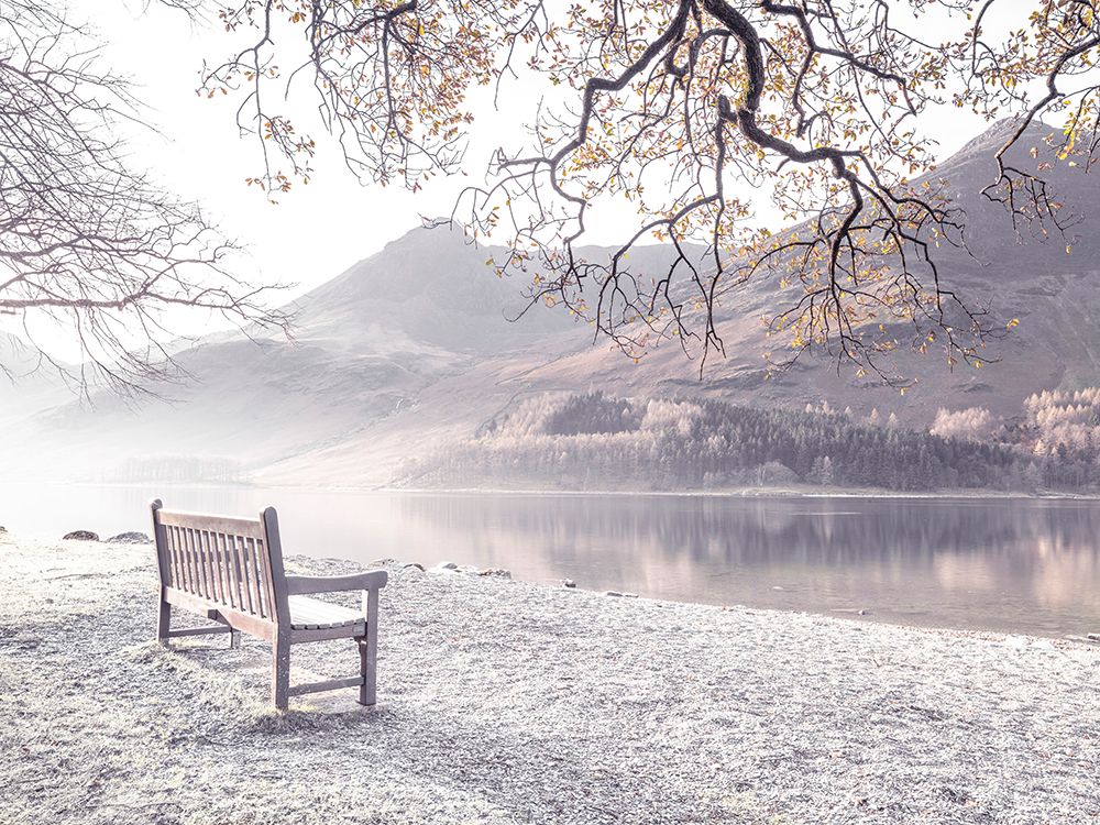 Bench and still lake, Buttermere art print by Assaf Frank for $57.95 CAD