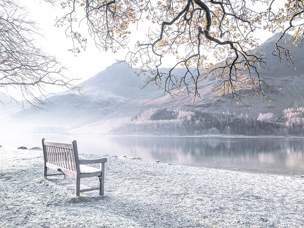 Bench by still lake art print by Assaf Frank for $57.95 CAD